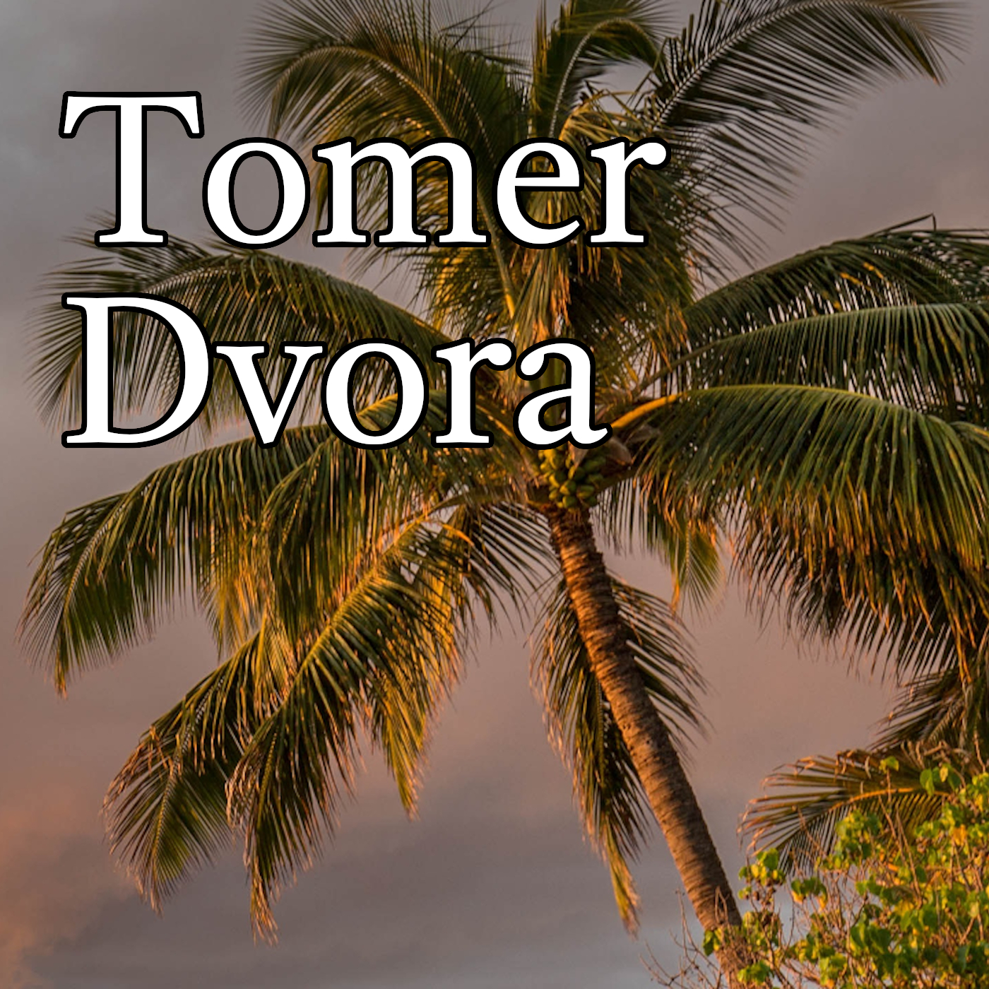 Tomer Dvora podcast artwork