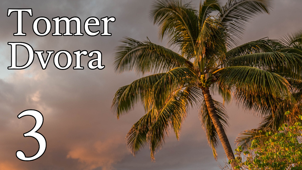 Tomer Dvora – 3 episode artwork
