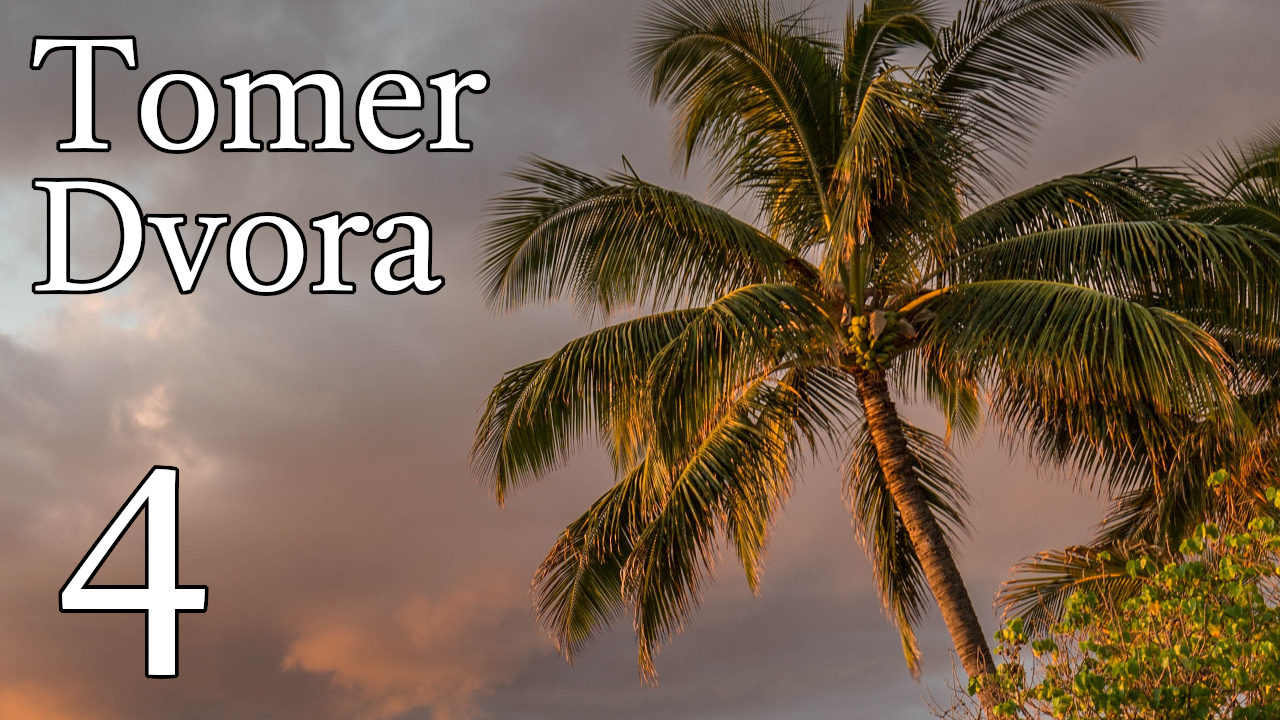 Tomer Dvora – 4 episode artwork