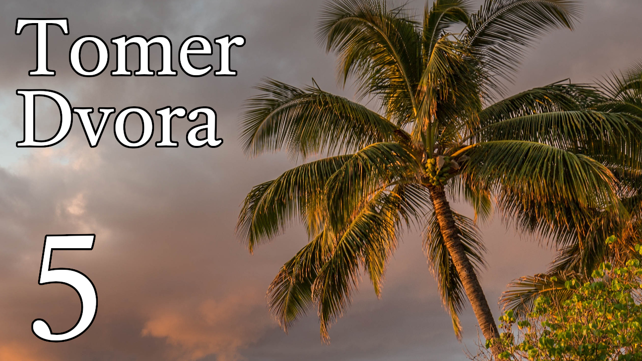 Tomer Dvora – 5 episode artwork