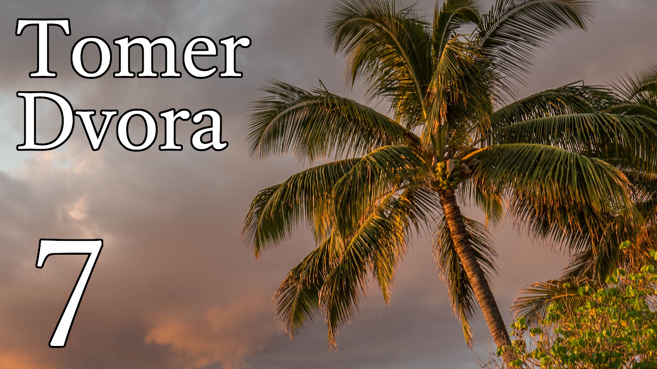 Tomer Dvora – 7 episode artwork