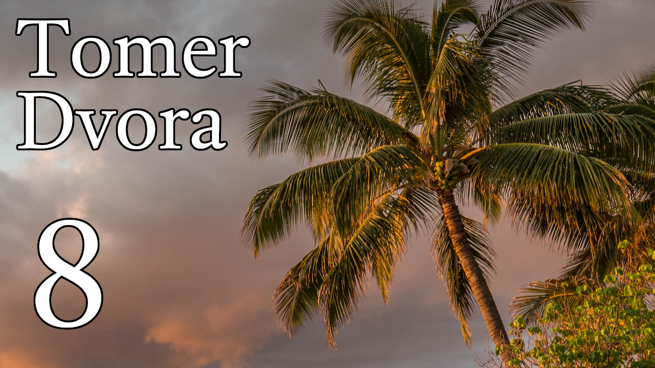 Tomer Dvora – 8 episode artwork