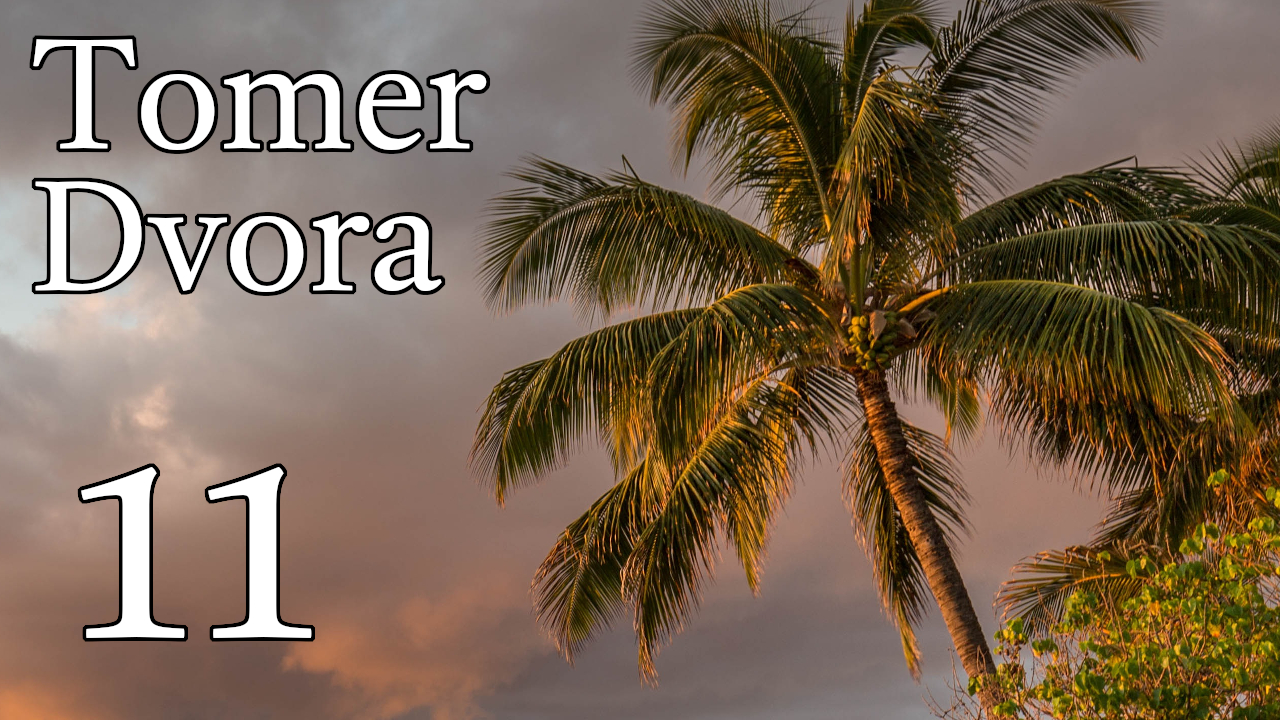 Tomer Dvora – 11 episode artwork