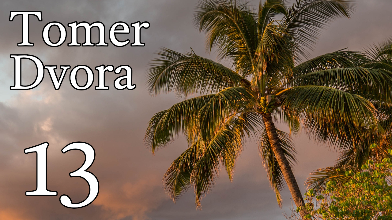 Tomer Dvora – 13 episode artwork