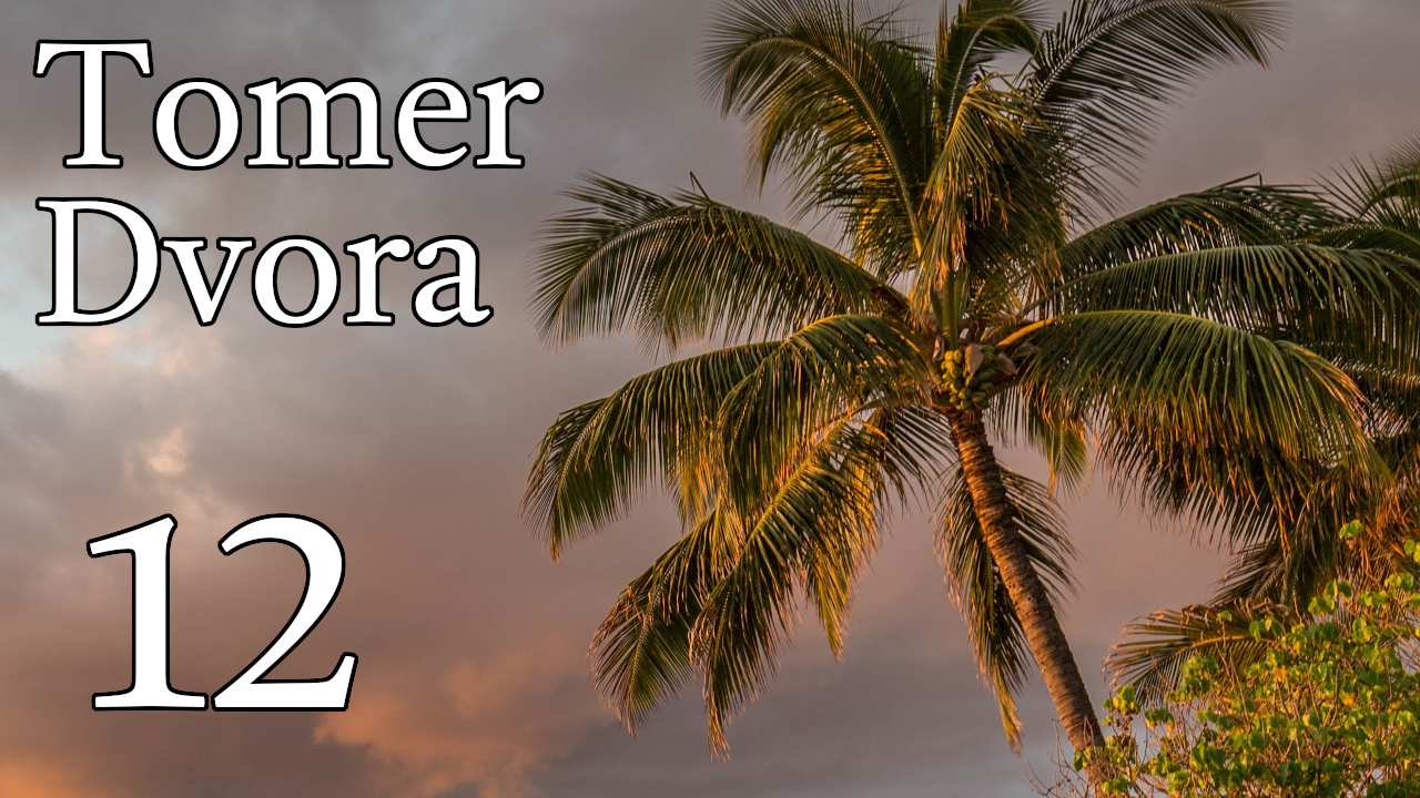 Tomer Dvora – 12 episode artwork