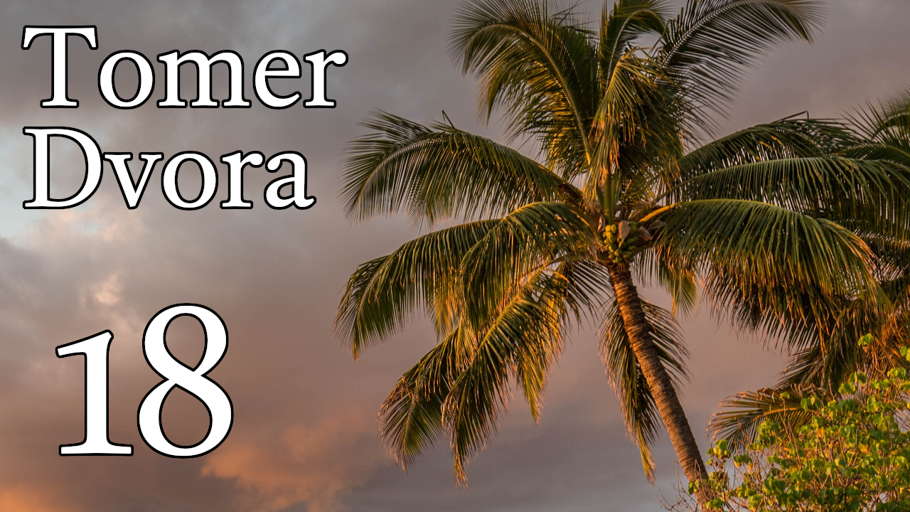 Tomer Dvora – 18 episode artwork
