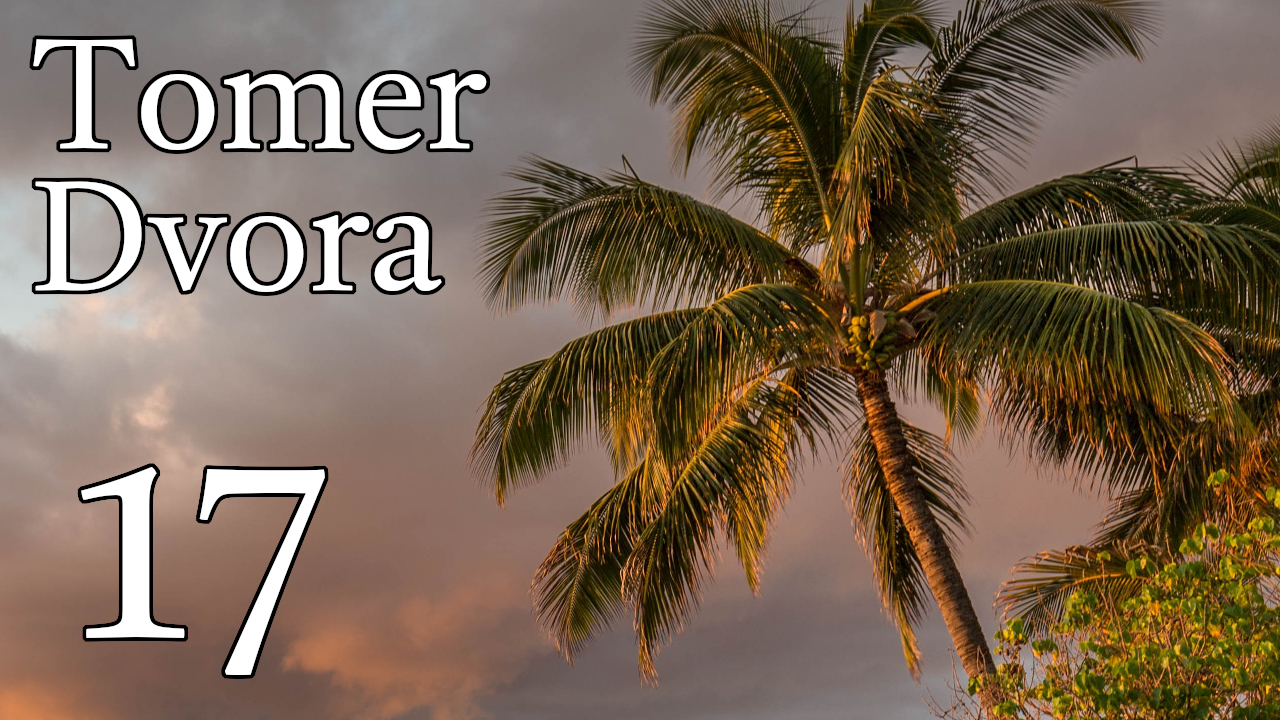 Tomer Dvora – 17 episode artwork