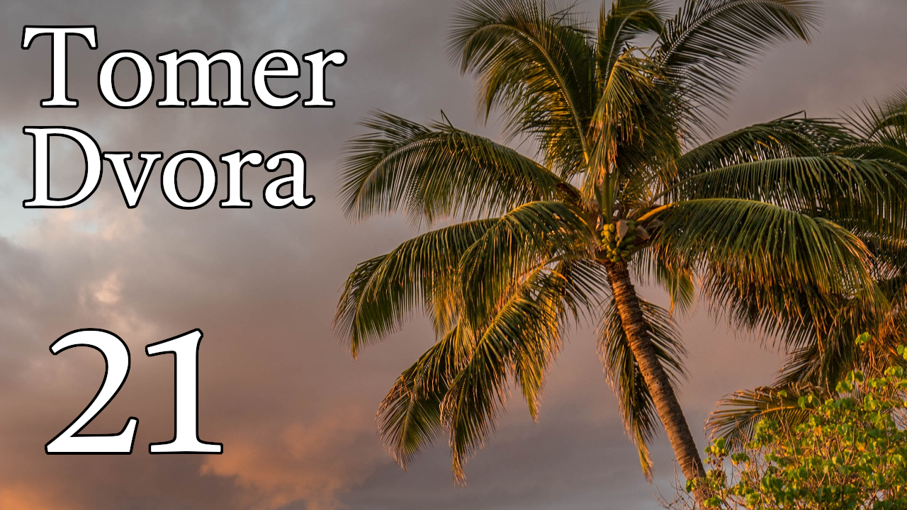 Tomer Dvora – 21 episode artwork