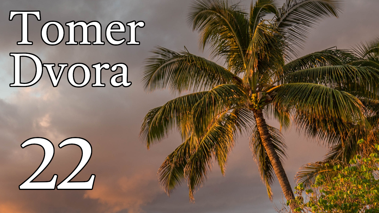 Tomer Dvora – 22 episode artwork