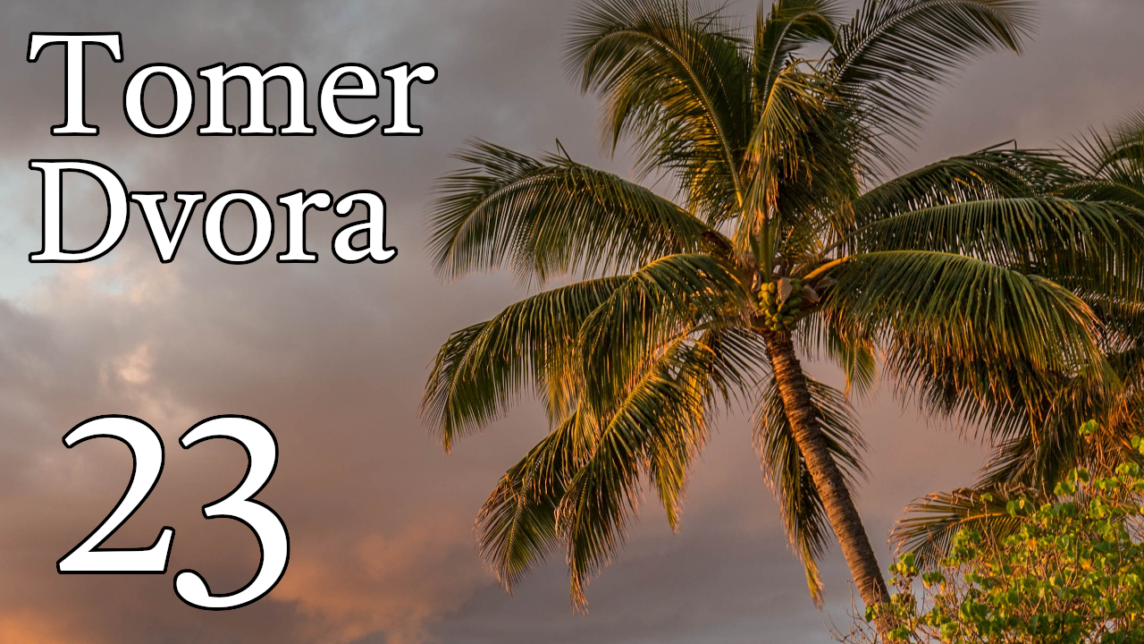Tomer Dvora – 23 episode artwork