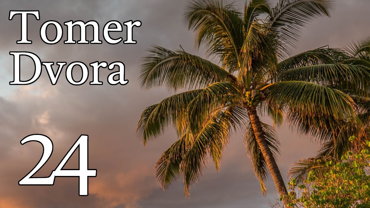 Tomer Dvora – 24 episode artwork