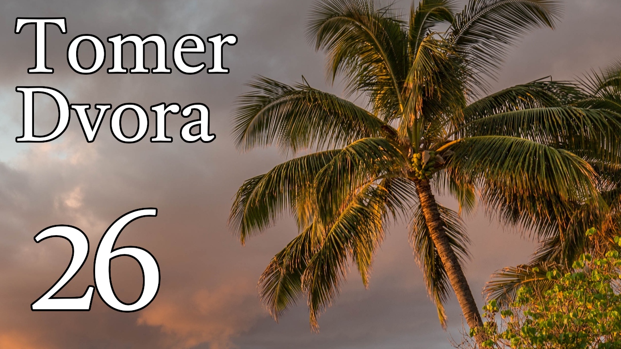 Tomer Dvora – 26 episode artwork