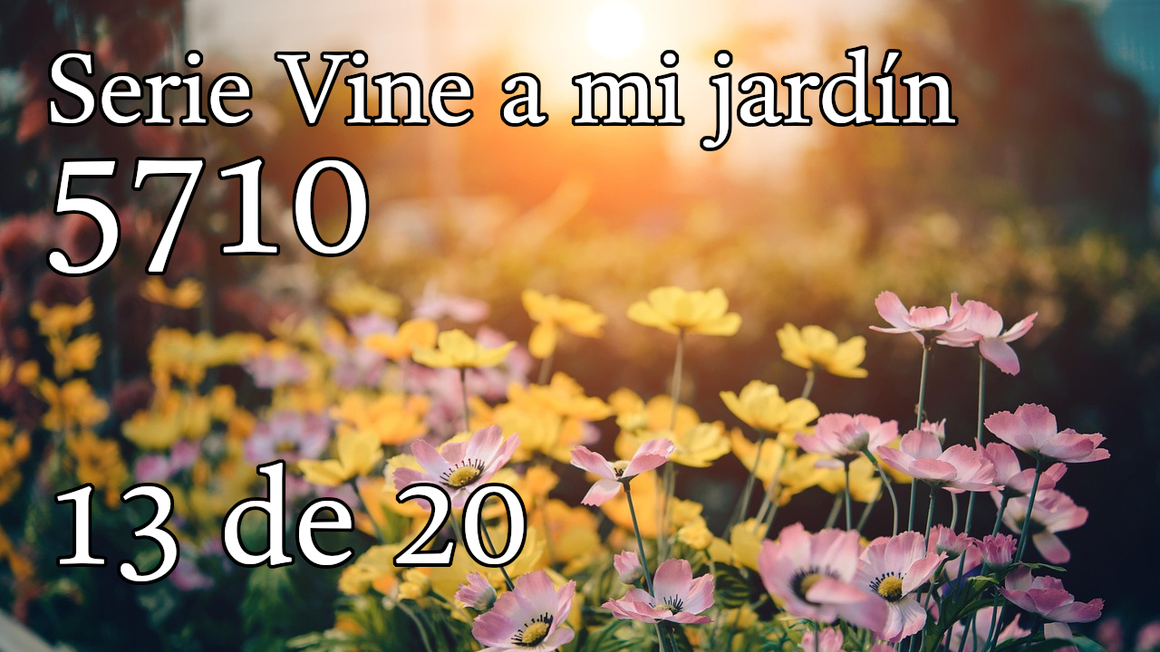 Serie Vine a mi jardín 5710 - 13 de 20