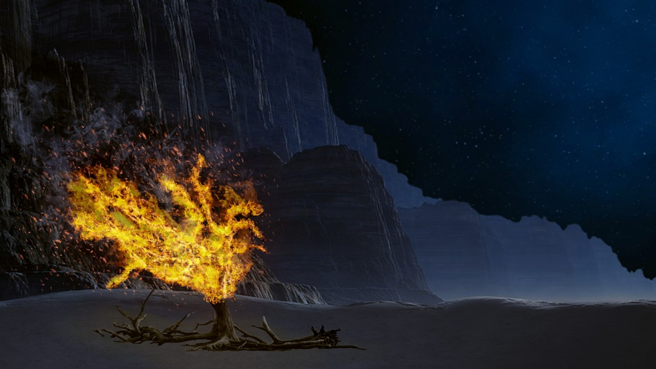 La zarza ardiente episode artwork