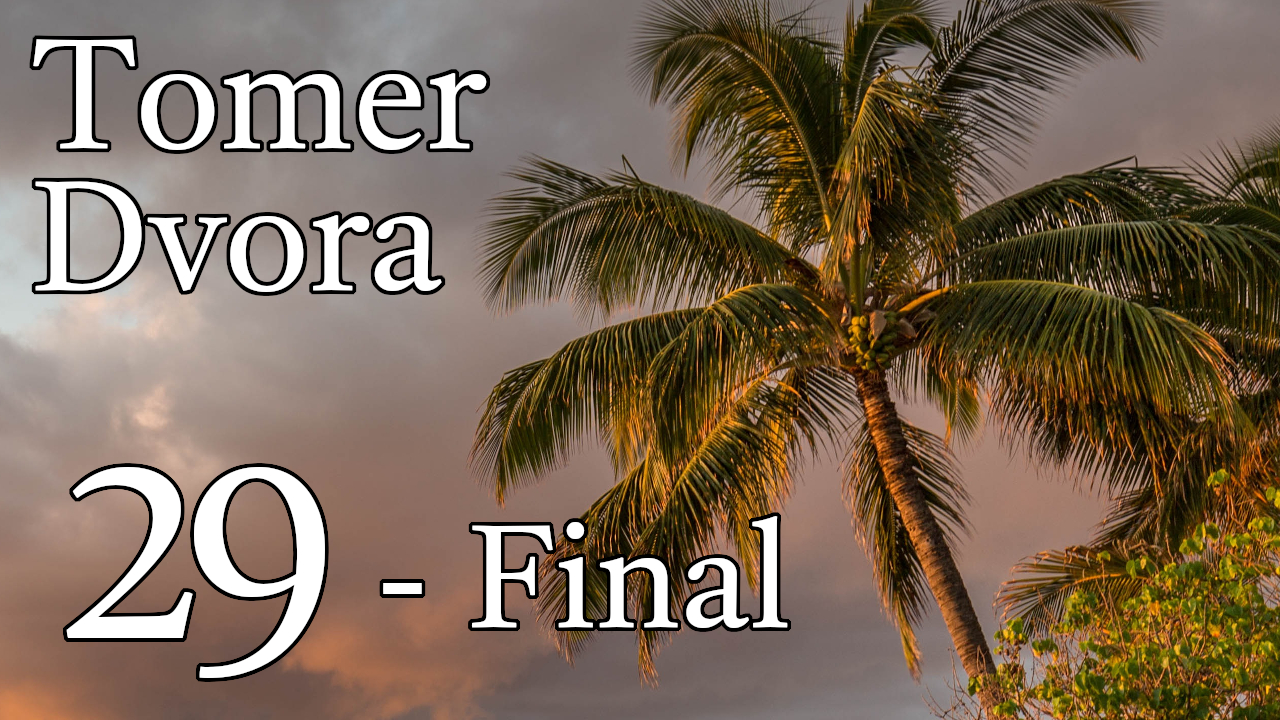 Tomer Dvora – 29 – Final episode artwork