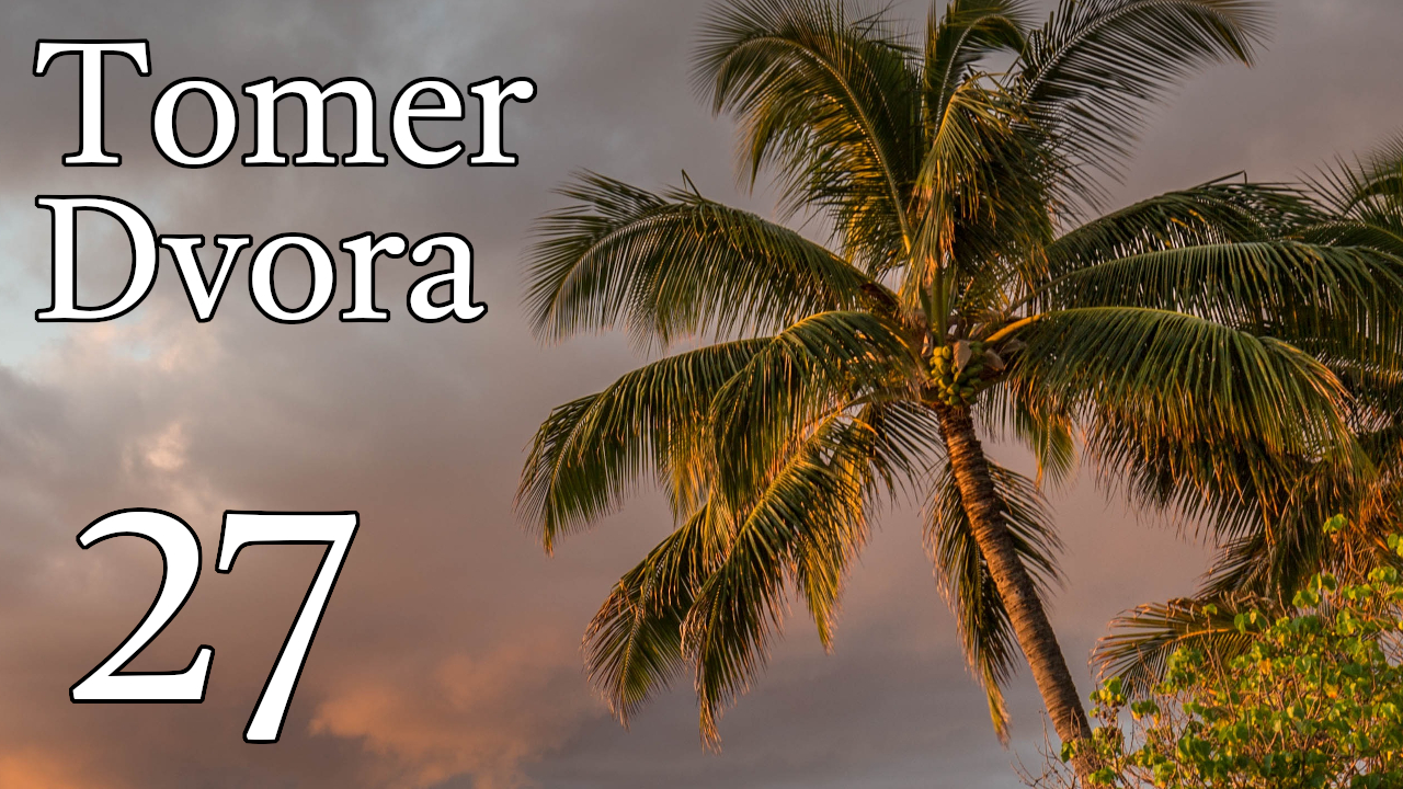 Tomer Dvora – 27 episode artwork