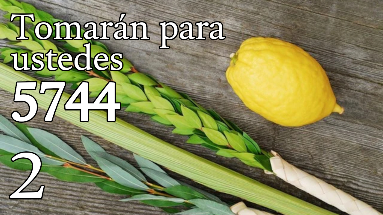 Tomarán para ustedes 5744 - 2