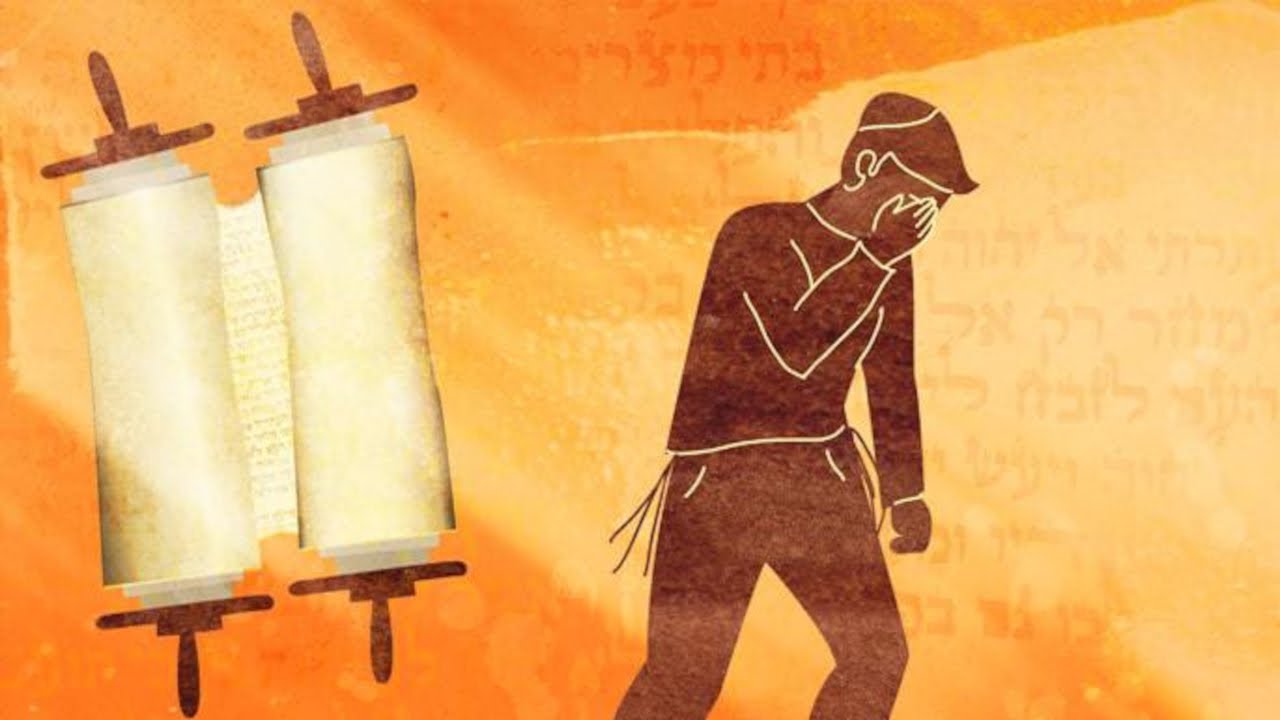 El aporte de Reuven