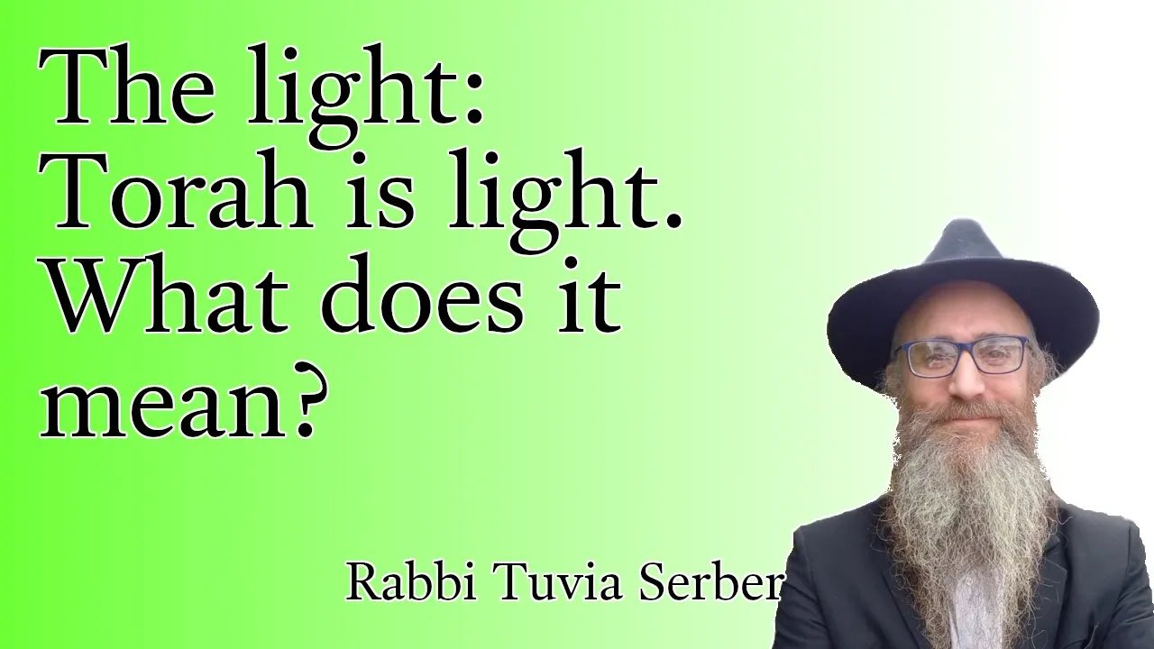 The light: Torah is light. What does it mean?