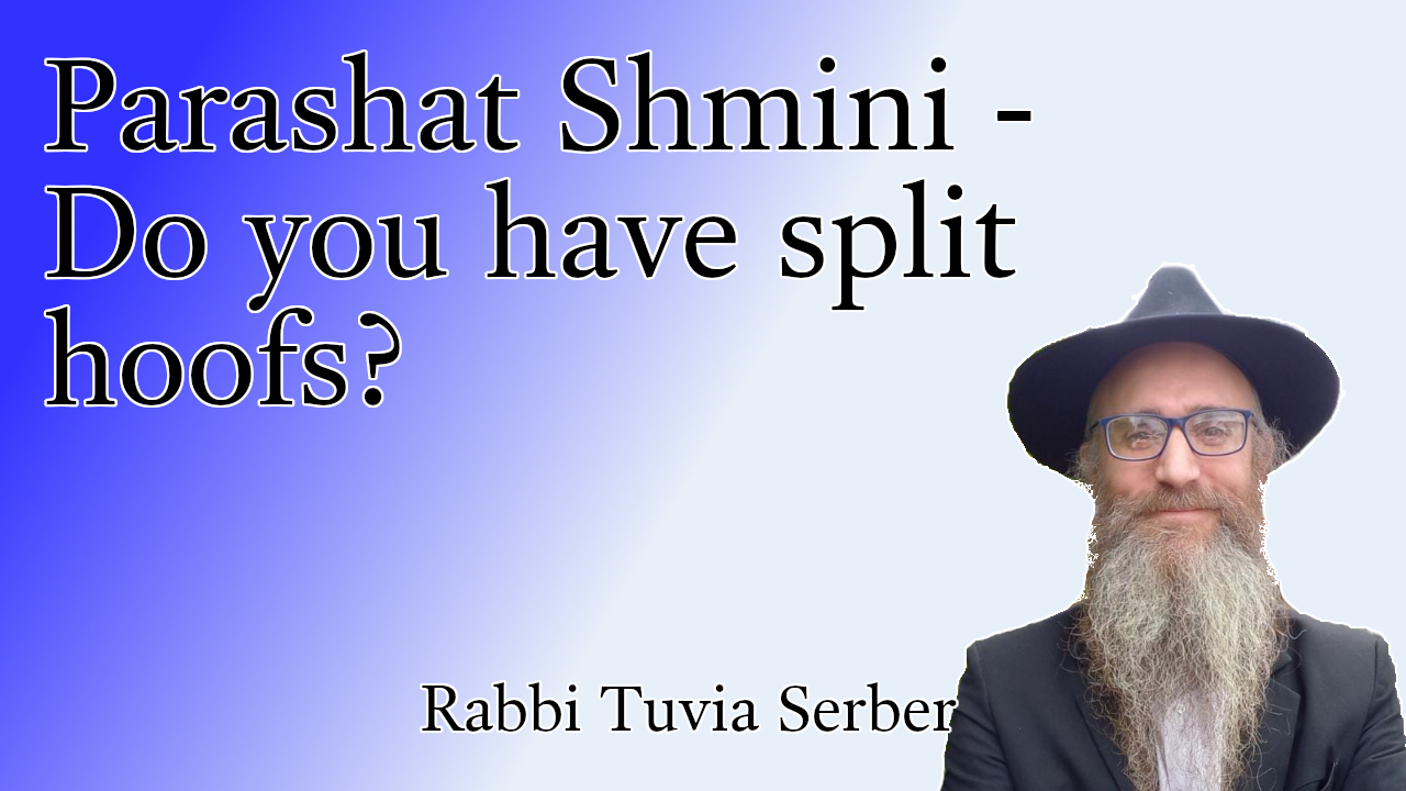 Parashat Shmini - Do you have split hoofs?