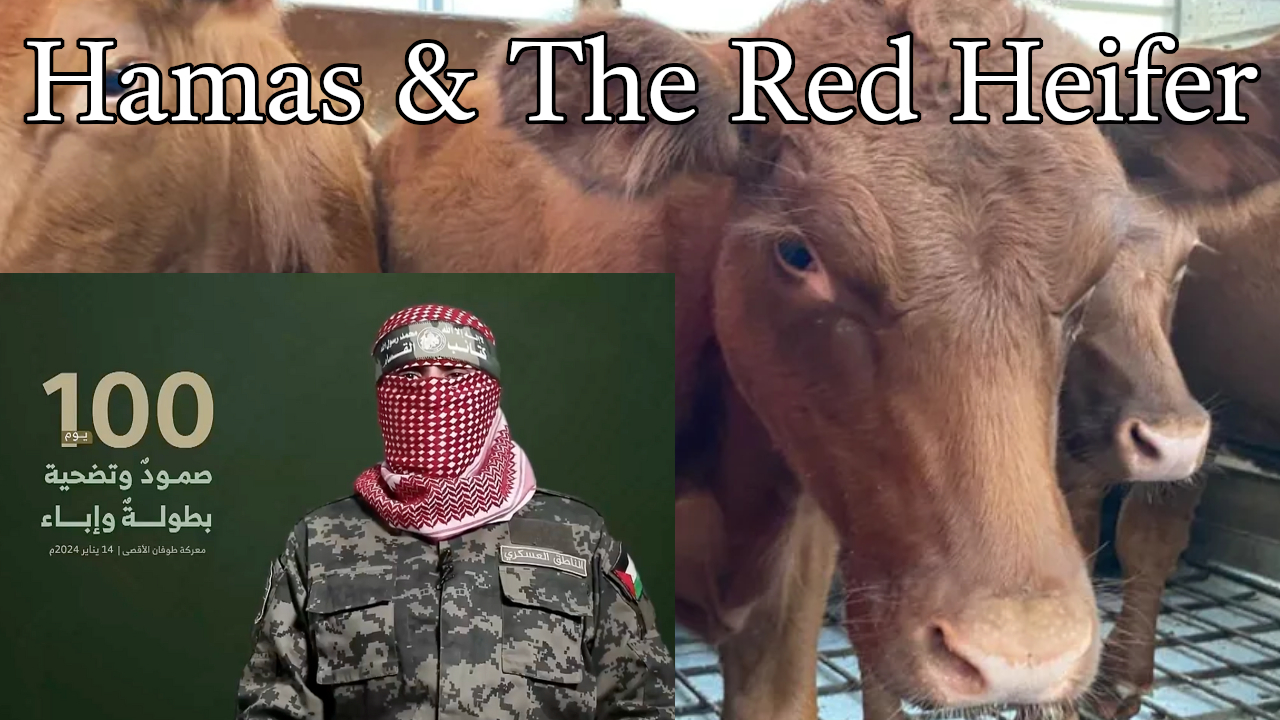 Hamas and The Red Heifer