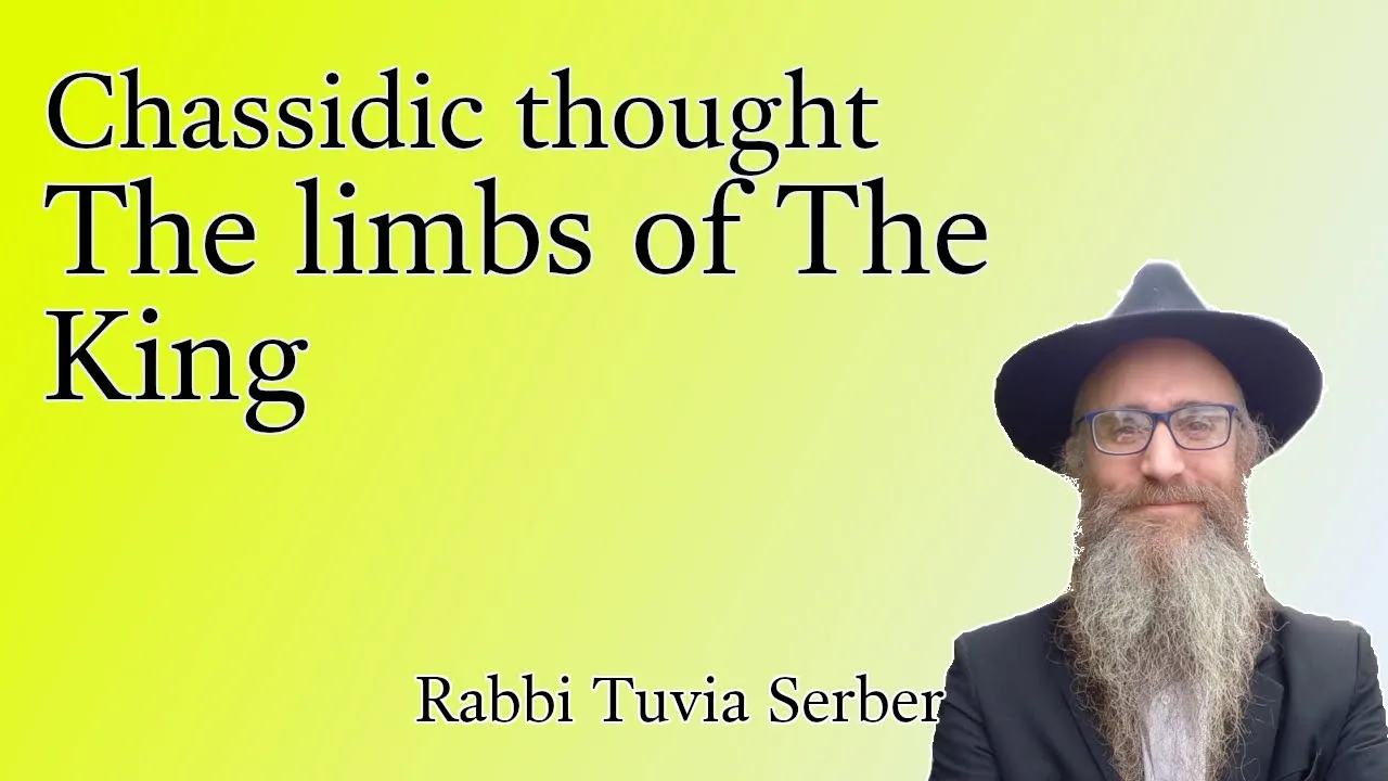Chassidic thought #3 - The limbs of The King