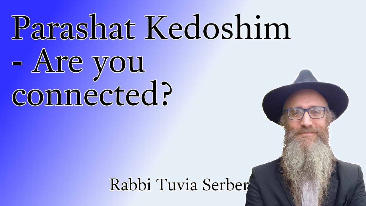 Parashat Kedoshim - Are you connected?