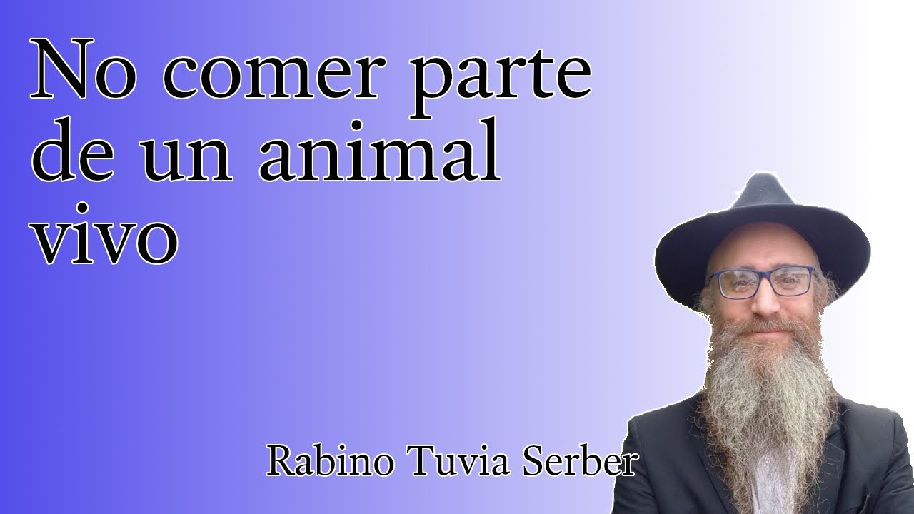 Torá para Bnei Noaj #75 - No comer parte de un animal vivo episode artwork