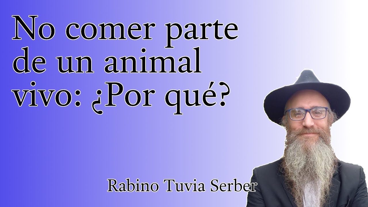 Torá para Bnei Noaj #76 - No comer parte de un animal vivo: ¿Por qué? episode artwork