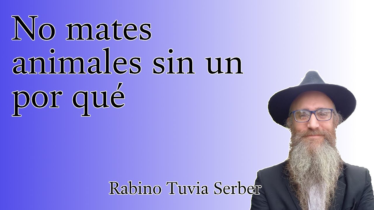 Torá para Bnei Noaj #77 - No mates animales sin un por qué episode artwork