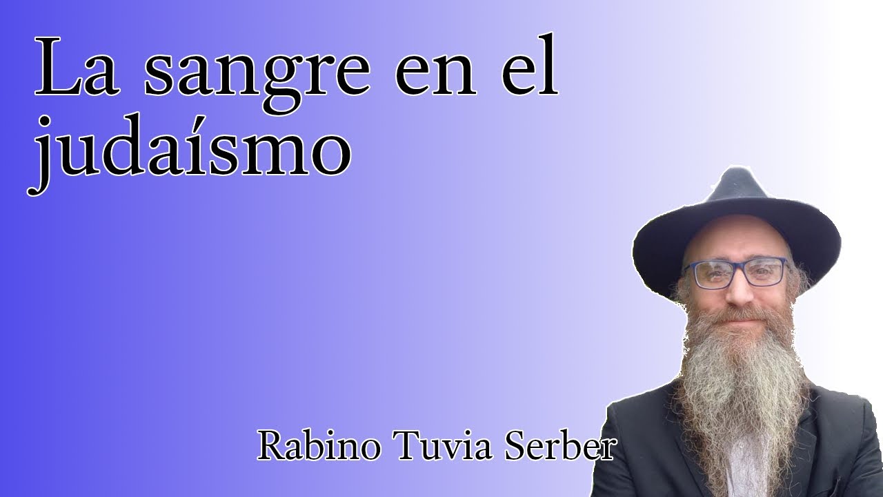 Torá para Bnei Noaj #79 - La sangre en el judaísmo episode artwork