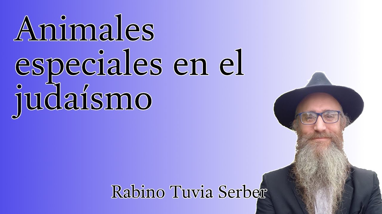 Torá para Bnei Noaj #81 - Animales especiales en el judaísmo episode artwork