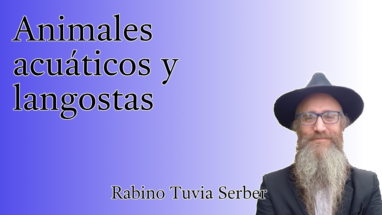 Torá para Bnei Noaj #82 - Animales acuáticos y langostas episode artwork