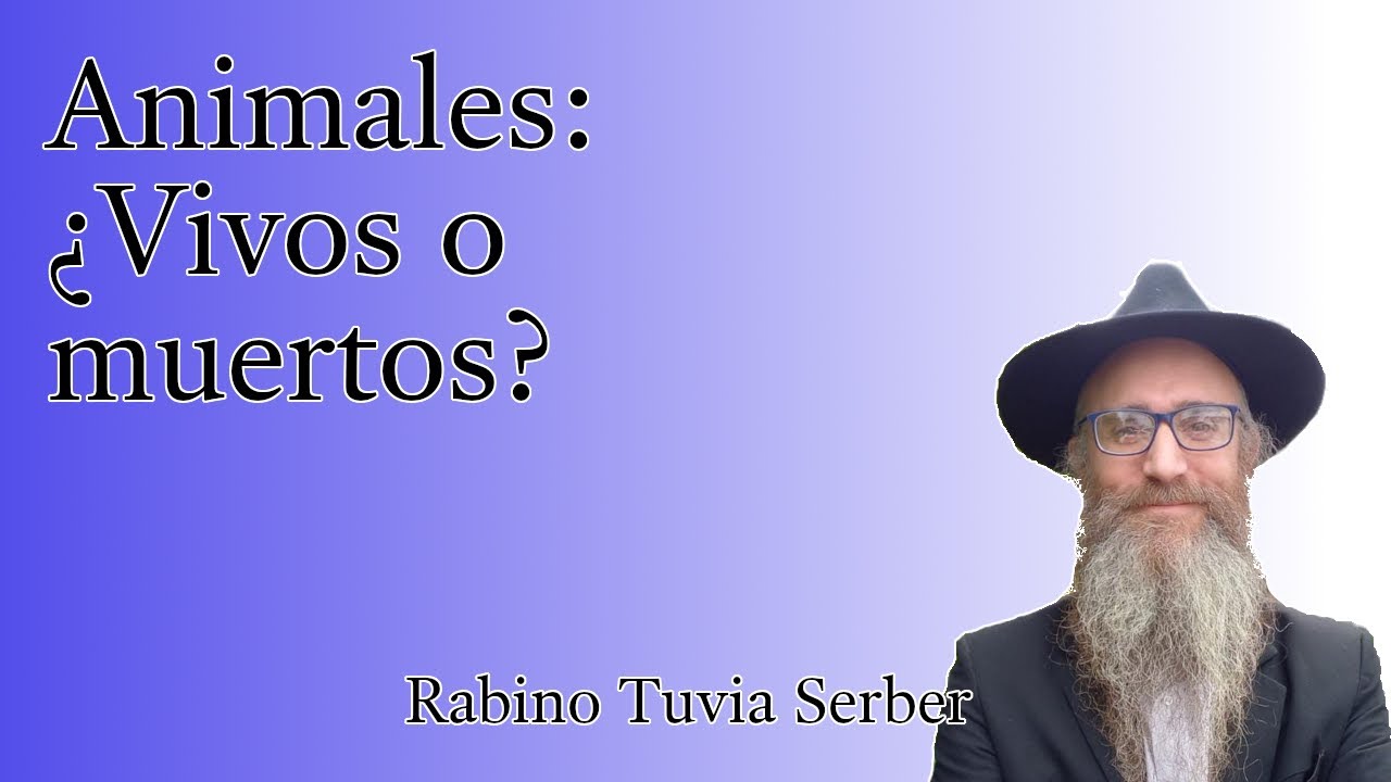 Torá para Bnei Noaj #84 - Animales: ¿Vivos o muertos? episode artwork