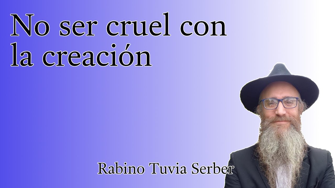 Torá para Bnei Noaj #85 - No ser cruel con la creación episode artwork