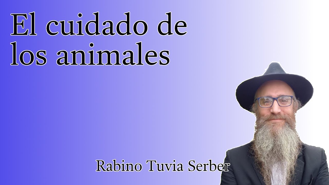 Torá para Bnei Noaj #87 - El cuidado de los animales episode artwork