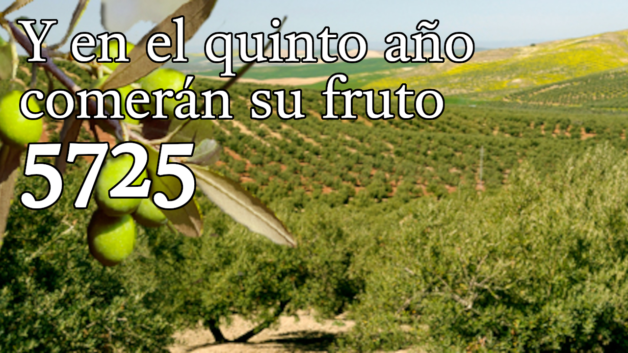Y en el quinto año comerán su fruto 5725