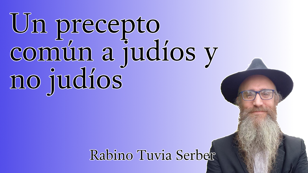 Torá para Bnei Noaj #267 - Un precepto común a judíos y no judíos episode artwork