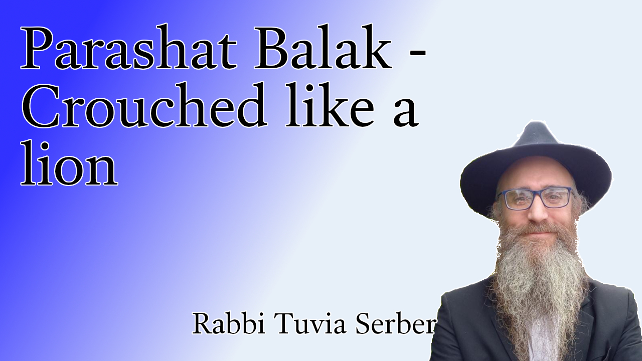 Parashat Balak - Crouched like a lion