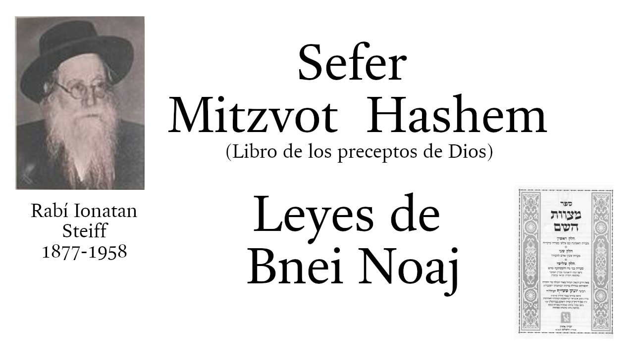 Curso para Bnei Noaj 8 - 45 episode artwork