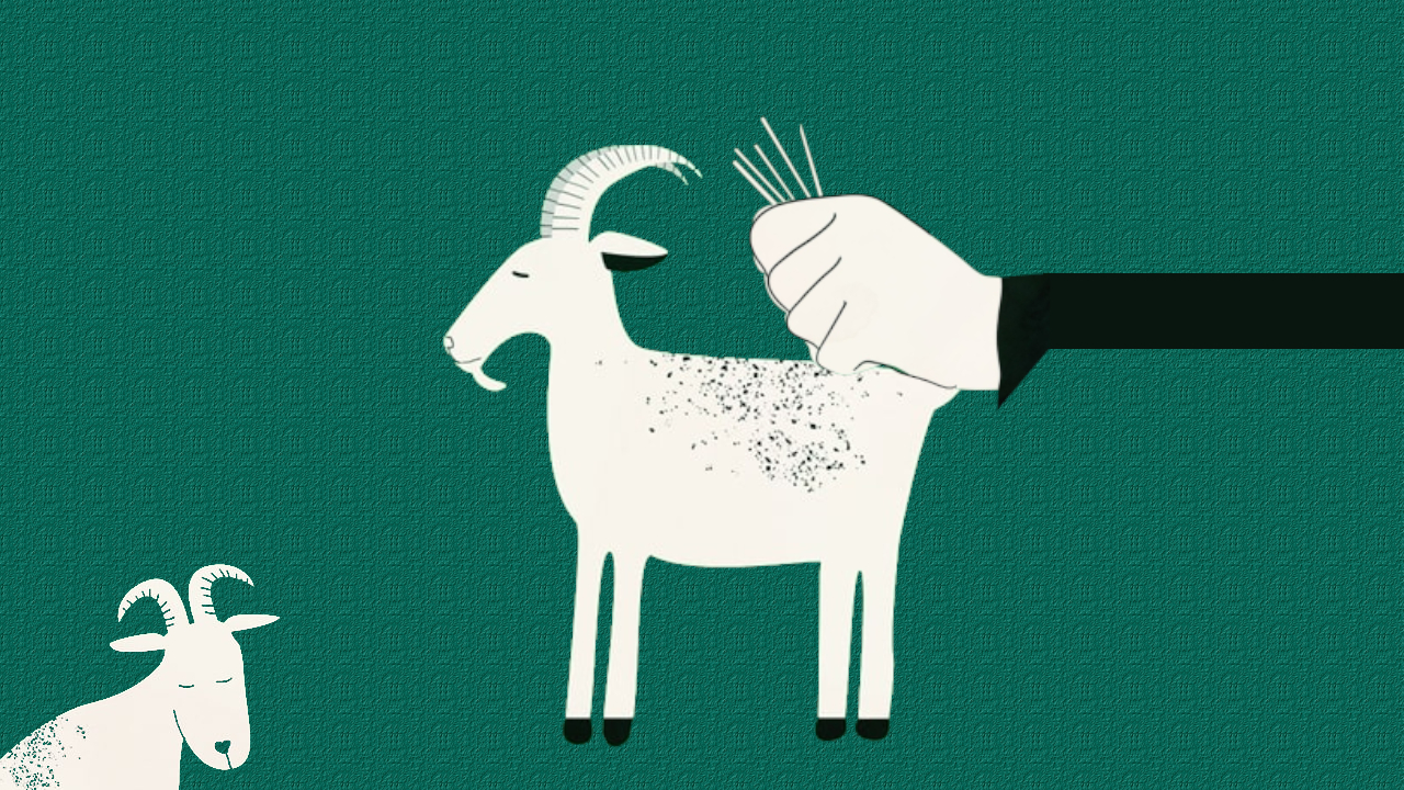 El oficio de las mujeres