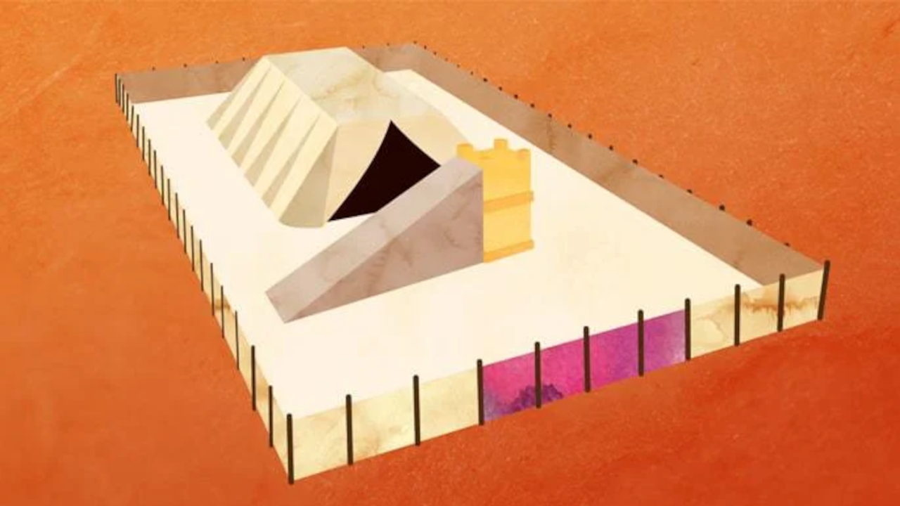 Potencial y realidad