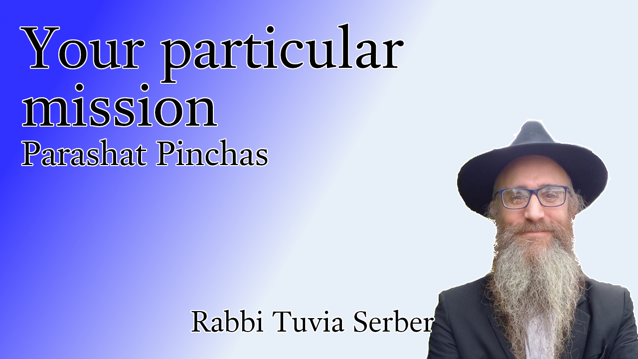 Parashat Pinchas - Your particular mission