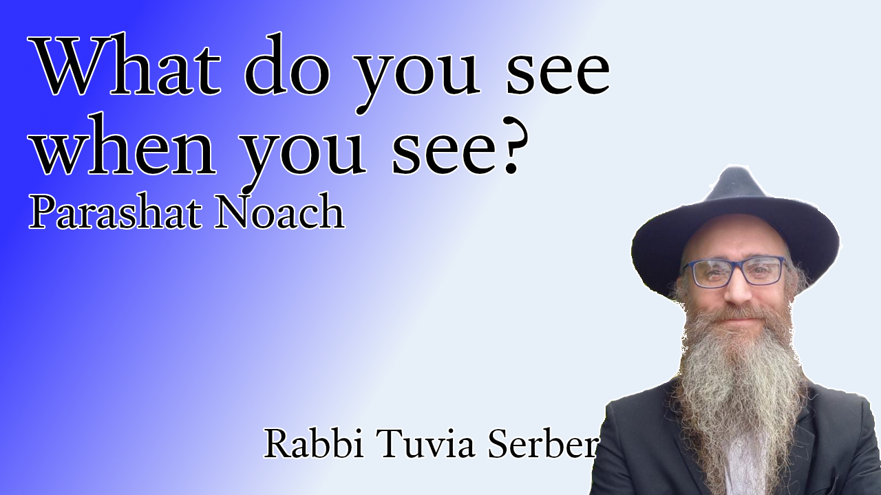 Parashat Noach – What do you see when you see?