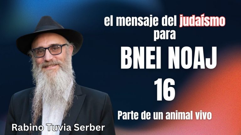 Judaísmo para no judíos - 16