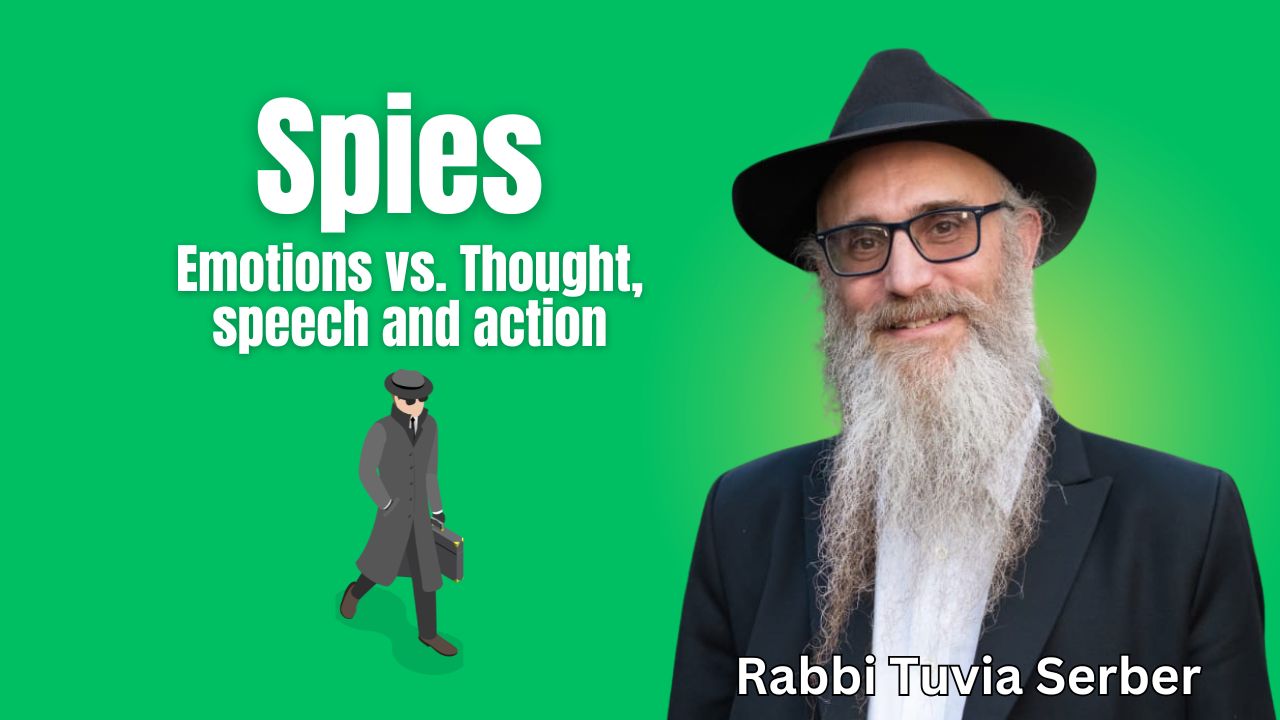 Spies: emotions vs. garments of the soul episode artwork