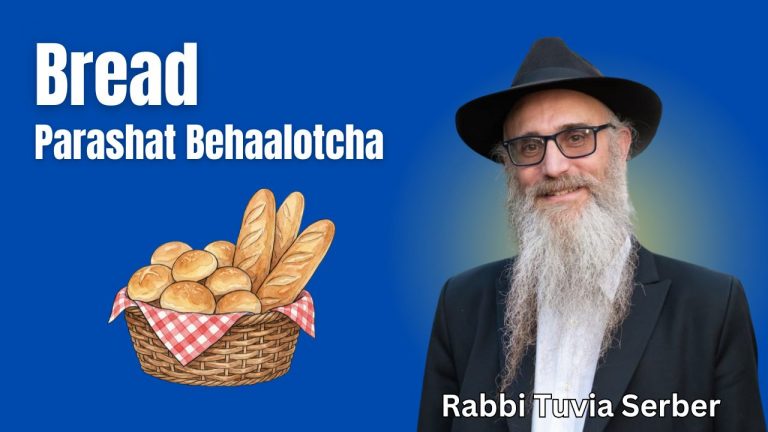 Parashat Behaalotcha - Bread