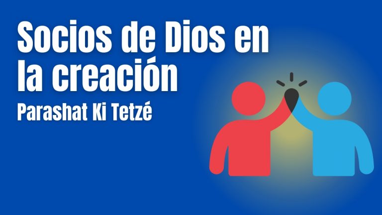 Socios de Dios en la creación